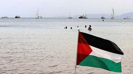 16 Irish citizens detained by Israel on Gaza flotilla ‘on their journey home’