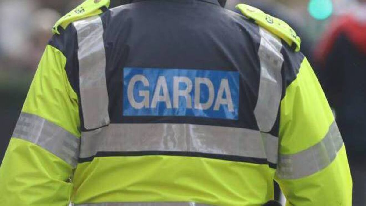 Mayo road traffic collision involving vehicle and livestock this morning