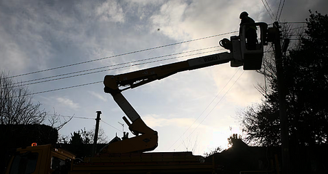 Landowner in dispute with ESB over tree trimming says damage caused is €64,000