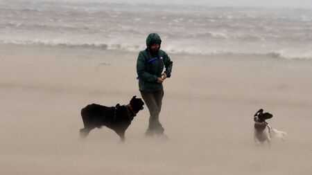 Local Notes: A lady and her dogs during Storm Amy on Enniscrone beach.