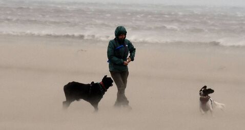 Local Notes: A lady and her dogs during Storm Amy on Enniscrone beach.
