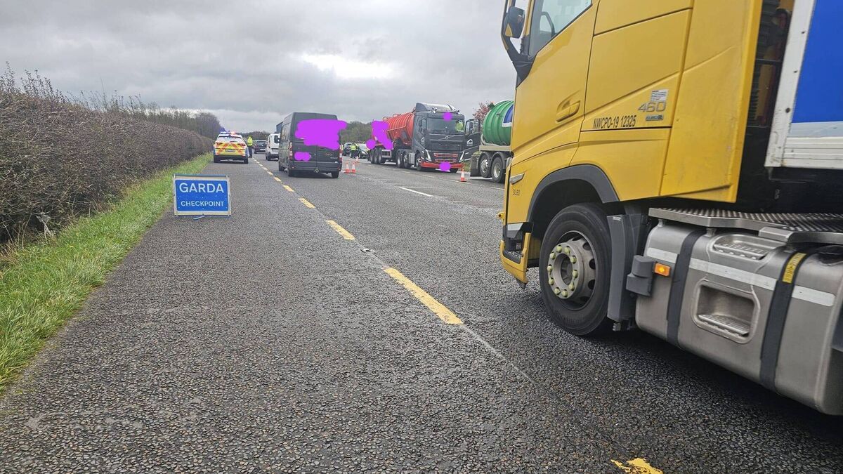 Number of various offences detected during Mayo road checkpoints