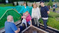 Local Notes: Hard at work at Charlestown Organic Community Garden.