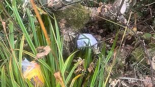 Watch: Calls for extra gardaí for Rathkeale after arson attack