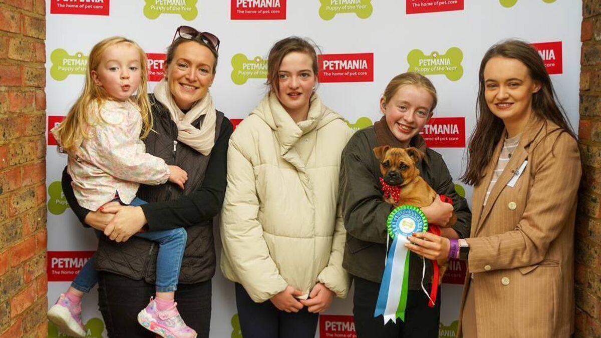 Mayo's Alfie represents the county in Petmania Puppy of the Year 2025