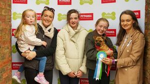 Mayo's Alfie represents the county in Petmania Puppy of the Year 2025 Mayo's Alfie represents the county in Petmania Puppy of the Year 2025