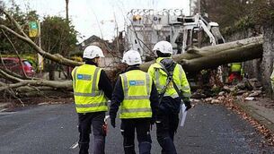 Man (60s) dies in farm accident in Co Tipperary