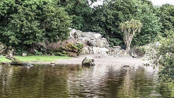 Fota Wildlife Park to remain closed