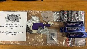 Two men (40s) arrested after burglary incident in Co Wicklow