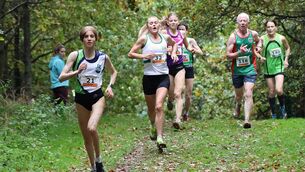 <p>John Jennings, in the colours of Mayo AC on the right, with Moy Valley runner Kirsty Maher in the foreground,, at the Open Autumn Cross-Country trials.</p> <p>John Jennings, in the colours of Mayo AC on the right, with Moy Valley runner Kirsty Maher in the foreground,, at the Open Autumn Cross-Country trials.</p>