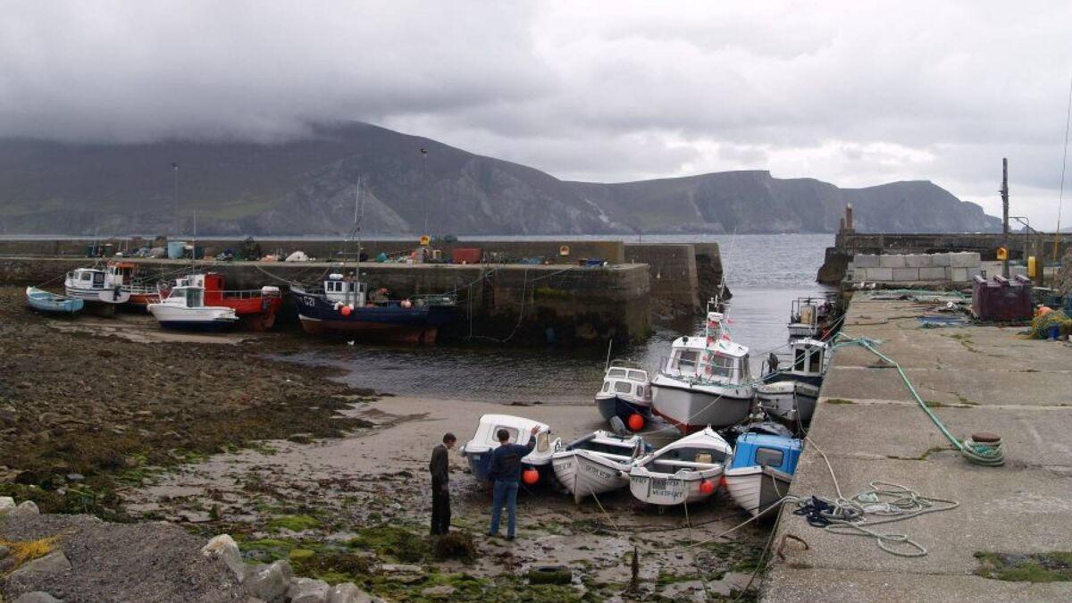 US citizen was killed in accident on visit to ancestral home in Mayo
