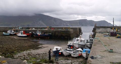 US citizen was killed in accident on visit to ancestral home in Mayo