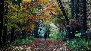 November is a time for remembering