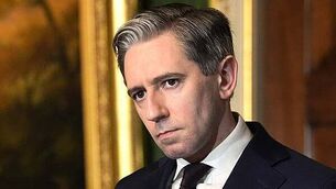 AIB cancels warrants held by Finance Minister for cash payment of €390m to the State AIB cancels warrants held by Finance Minister for cash payment of €390m to the State