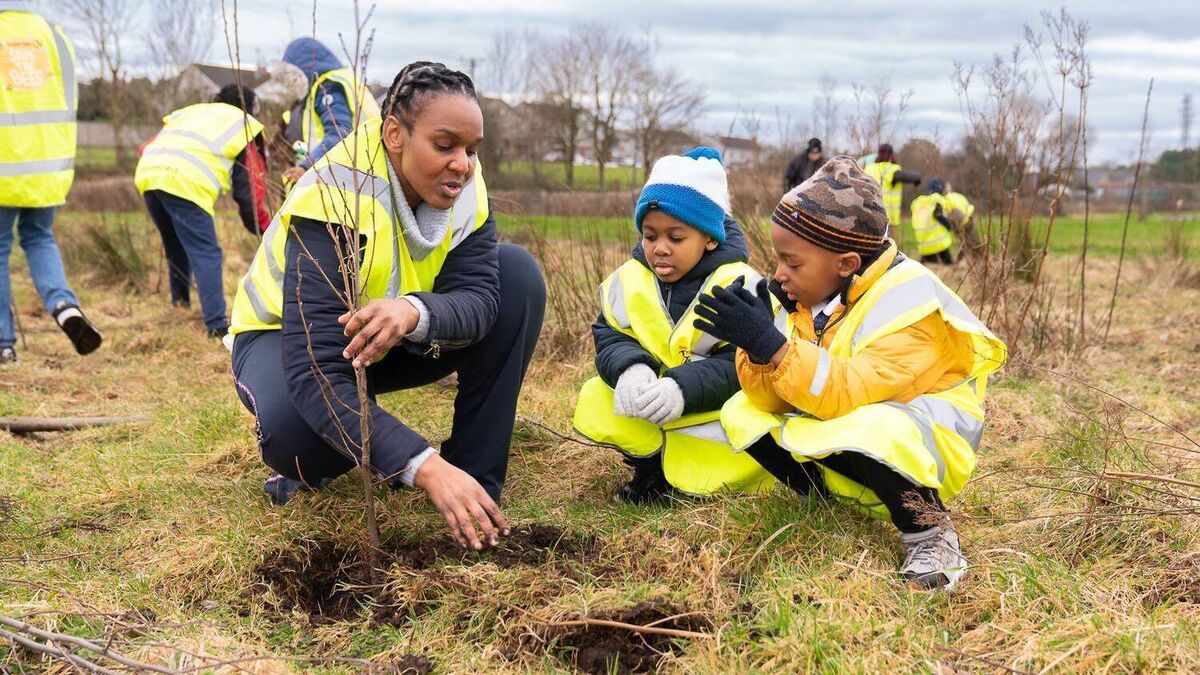 Tidy Towns group in Mayo hailed for inclusivity