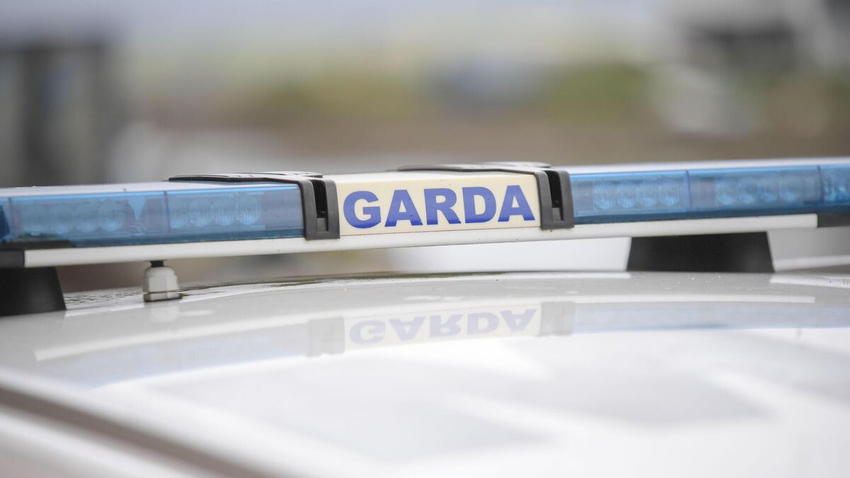Pensioner dies in Friday night collision