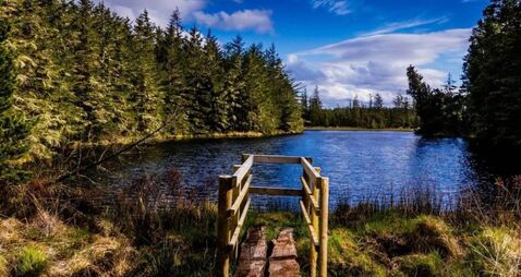 Irish placenames are a precious part of our heritage