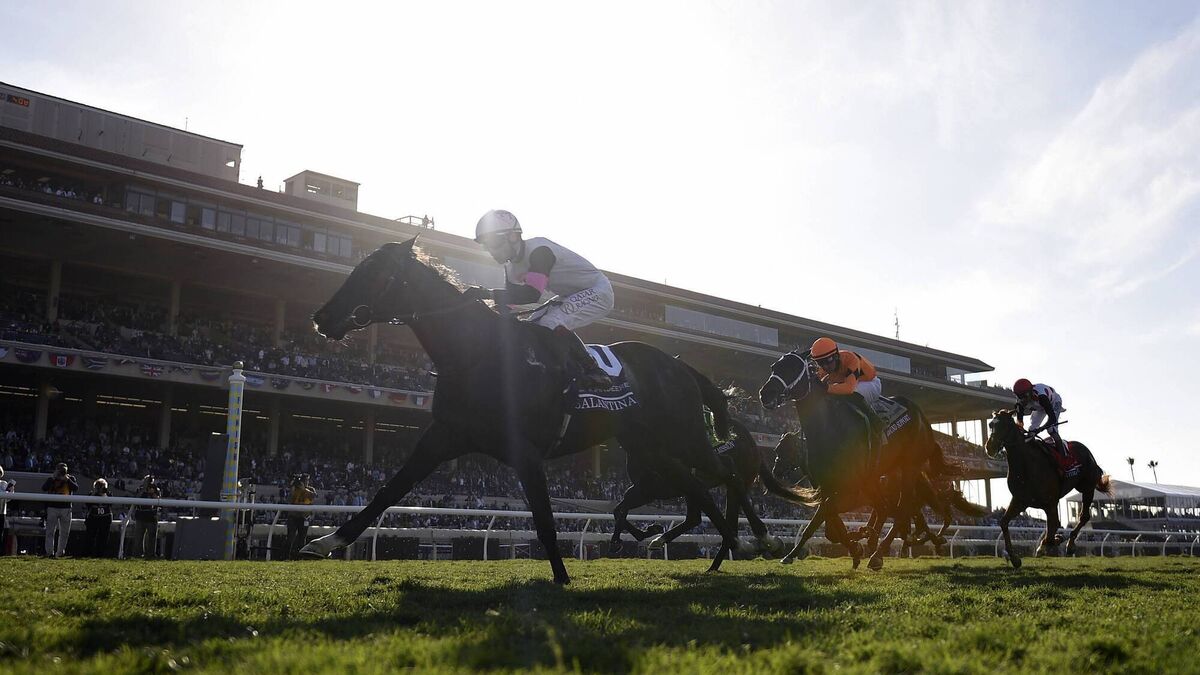 The racing dynasty that keeps building