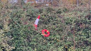 'Extremely dangerous' - Reckless act condemned in Mayo