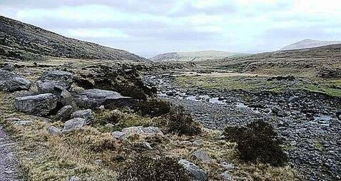 Inland Fisheries Ireland granted leave to challenge District Court over Co Kerry spawn case