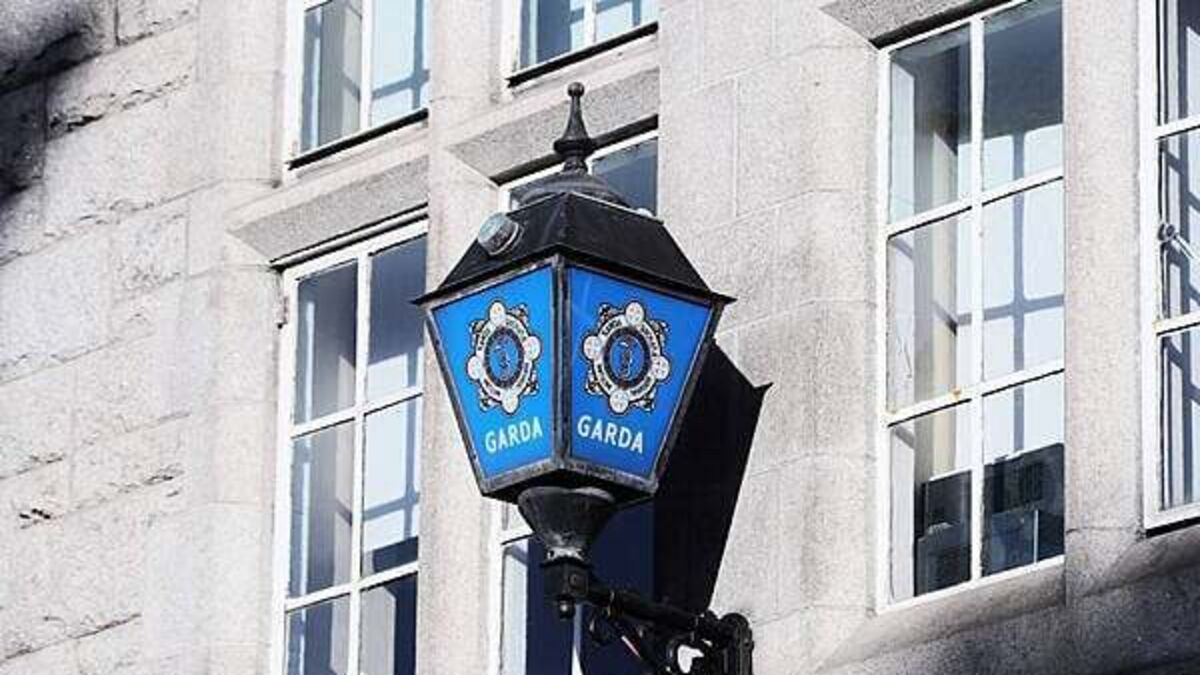 Gardaí make 11 arrests on international arrest warrants