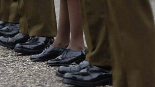 Cork thief who knocked woman (81) to the ground when robbing her handbag is jailed Cork thief who knocked woman (81) to the ground when robbing her handbag is jailed