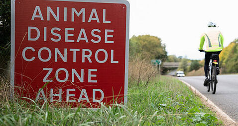 Nationwide housing order for poultry in place to eliminate bird flu