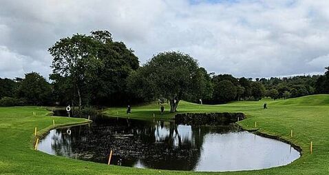Planning granted for apartments to house asylum seekers that puts Cork golf club in 'serious danger'