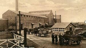 The bittersweet story of the sugar beet