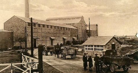 The bittersweet story of the sugar beet