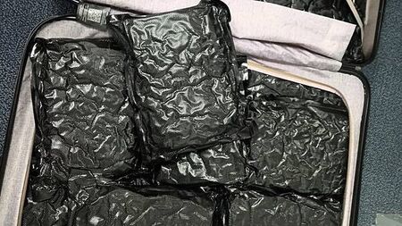 Man (20s) arrested after 30kg of cannabis seized at Shannon Airport