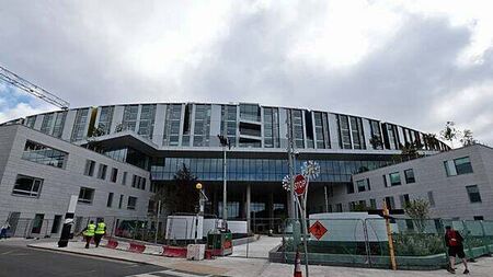 BAM told Government they wanted to complete Children's Hospital by June 2025