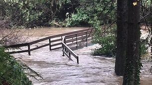 President Connolly leads tributes to five young people killed in 'devastating' Louth crash President Connolly leads tributes to five young people killed in 'devastating' Louth crash