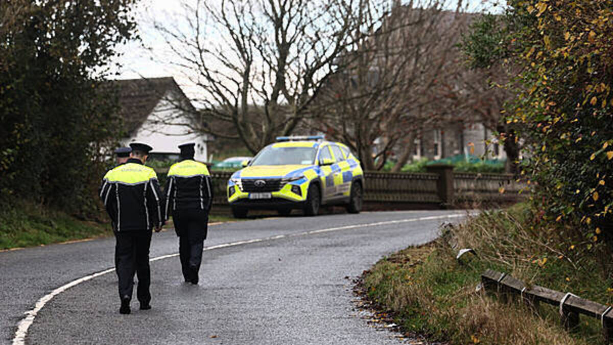 President Connolly leads tributes to five young people killed in 'devastating' Louth crash