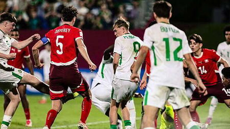 Soccer fan petitions for national holiday for Ireland's World Cup matches