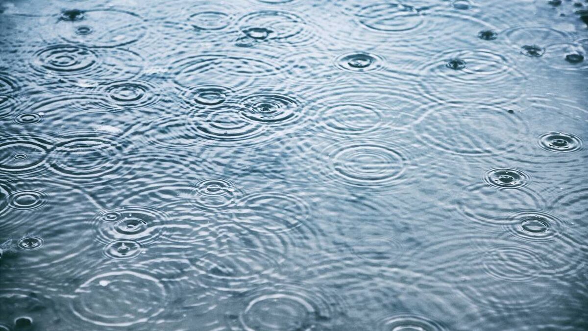 Councillors frustrated at unkept local rivers