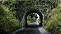 Exploring the greenway, museums and Celtic traditions of family-friendly Co Kerry
