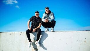 Limerick farmer pleads guilty to 173 'very significant animal cruelty' offences