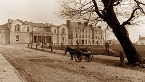 US steel baron helped found Mayo's library service