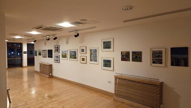 2025 Mayo Artists Show to open in Ballina Arts Centre