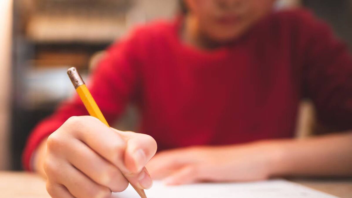 Over 290 Mayo children waiting for a disability assessment