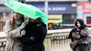 Yellow wind warning issued for three counties