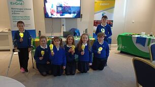 <p>Primary school students from Mayo learned about how they can take steps to conserve electricity.</p> <p>Primary school students from Mayo learned about how they can take steps to conserve electricity.</p>