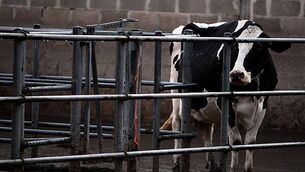 Inquiry into scoliosis and spina bifida care hoped to bring ‘justice for Harvey’