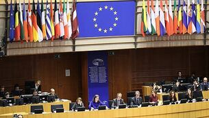 Tánaiste urges countries to reverse UNRWA funding suspension