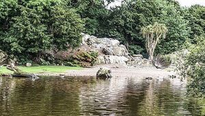 Fota Wildlife Park reopening date set after avian flu closure