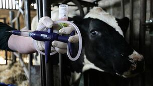 Dublin man with 341 previous convictions jailed over threat to kill pregnant partner