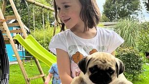 Majority of adults under 35 would like a job as an influencer, survey finds Majority of adults under 35 would like a job as an influencer, survey finds