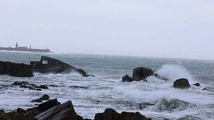 Nearly half of Irish businesses plan to increase investment this year, surveys says Nearly half of Irish businesses plan to increase investment this year, surveys says