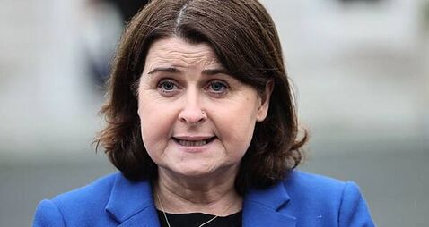 Stricter rules for puppy farms is ‘something people want action on’, Dáil hears